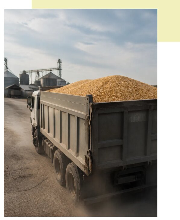 Перевозка сельхозпродукции навалом в Альметьевск по цене от 3114 р. | Агросервис-Льм