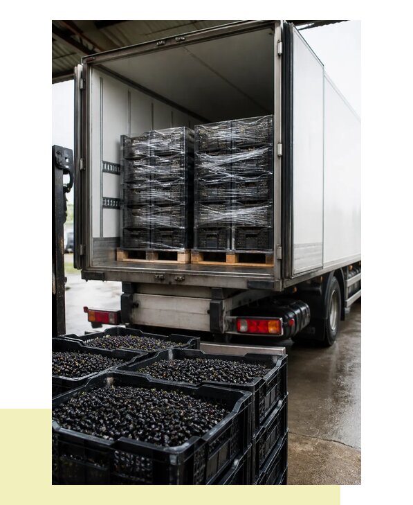 Перевозка смородины в Альметьевск с соблюдением температурного режима